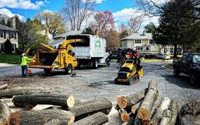 Professional Tree Removal and Landscaping Services in Biglerville, PA